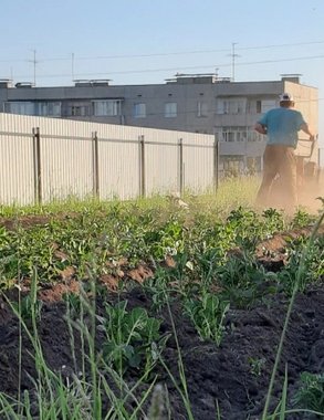 Граждан РФ лишают "второго хлеба": за посадку картошки на даче будут безжалостно штрафовать