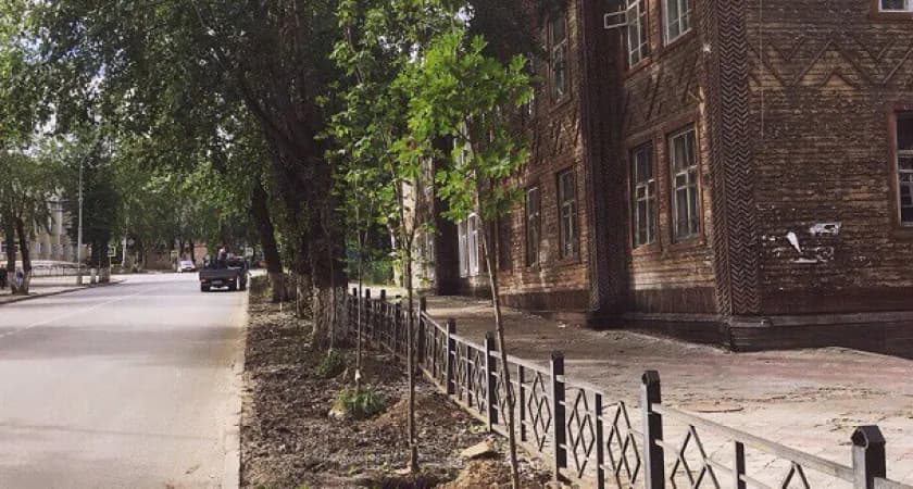 В Сыктывкаре ведется планомерная работа по озеленению города