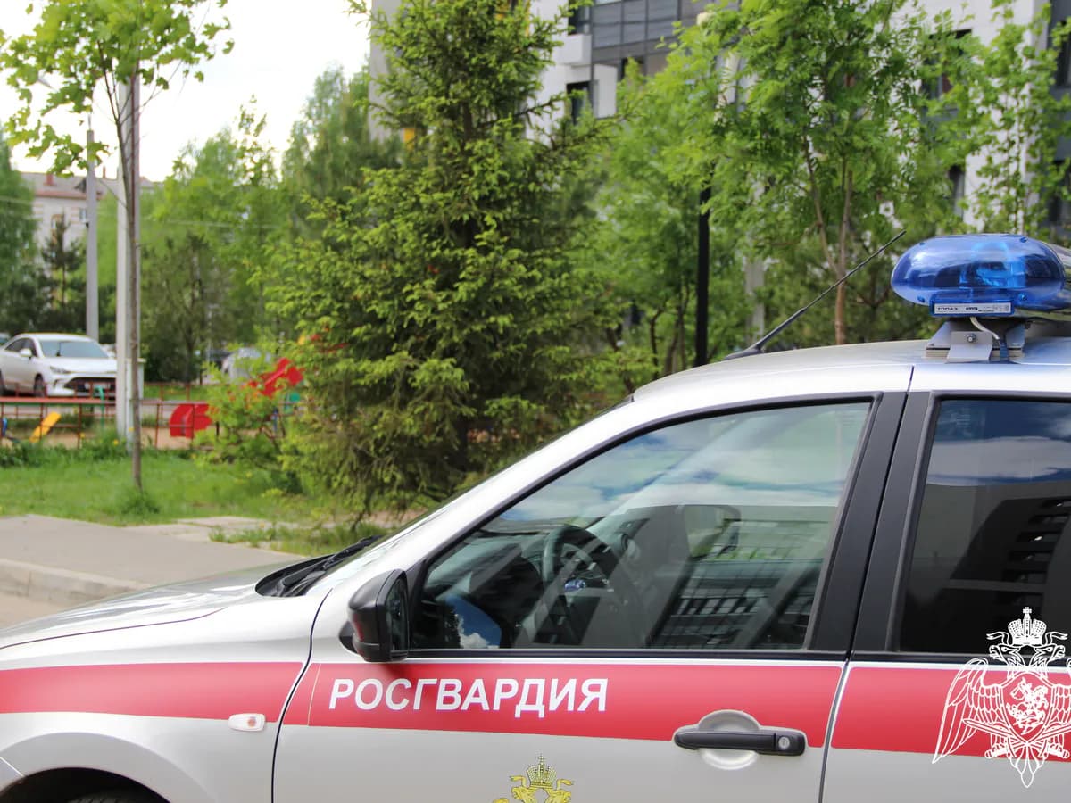 В Сыктывкаре Росгвардия остановила дебошира при попытке разбить окна гостиницы