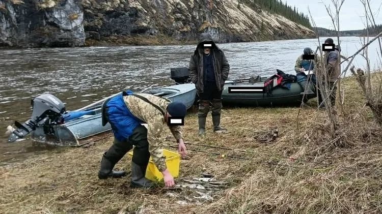 В Коми в нацпарке «Югыд ва» задержали браконьеров со 101 хариусом