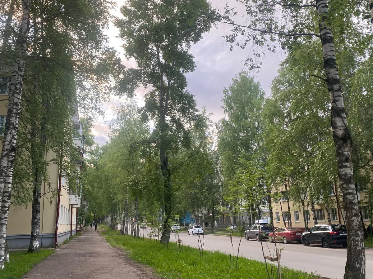 Коми 5 июня ждут небольшое потепление и северный ветер