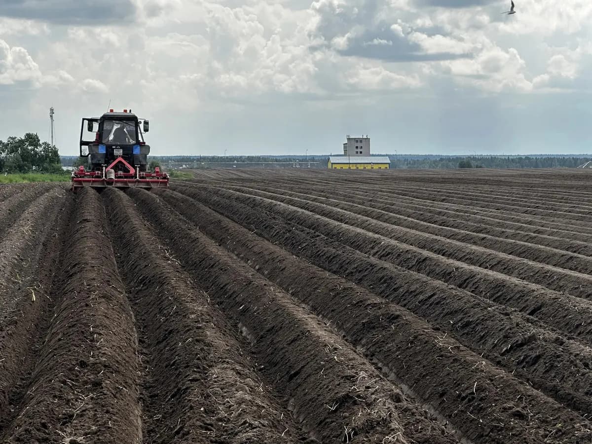 В Коми аграрии, преодолевая капризы погоды, засеяли 77% полей