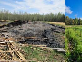 В Коми ликвидирован сброс опилочных бревен на сельскохозяйственные земли