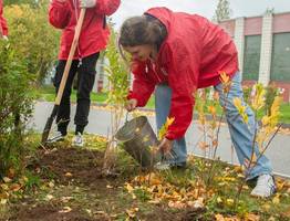 Яблоневая аллея в Ухте станет еще более цветущей и ароматной