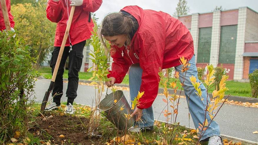 Главная картинка новости: Яблоневая аллея в Ухте станет еще более цветущей и ароматной