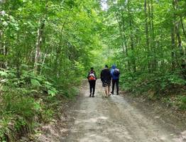 В Коми женщина двое суток плутала по лесу