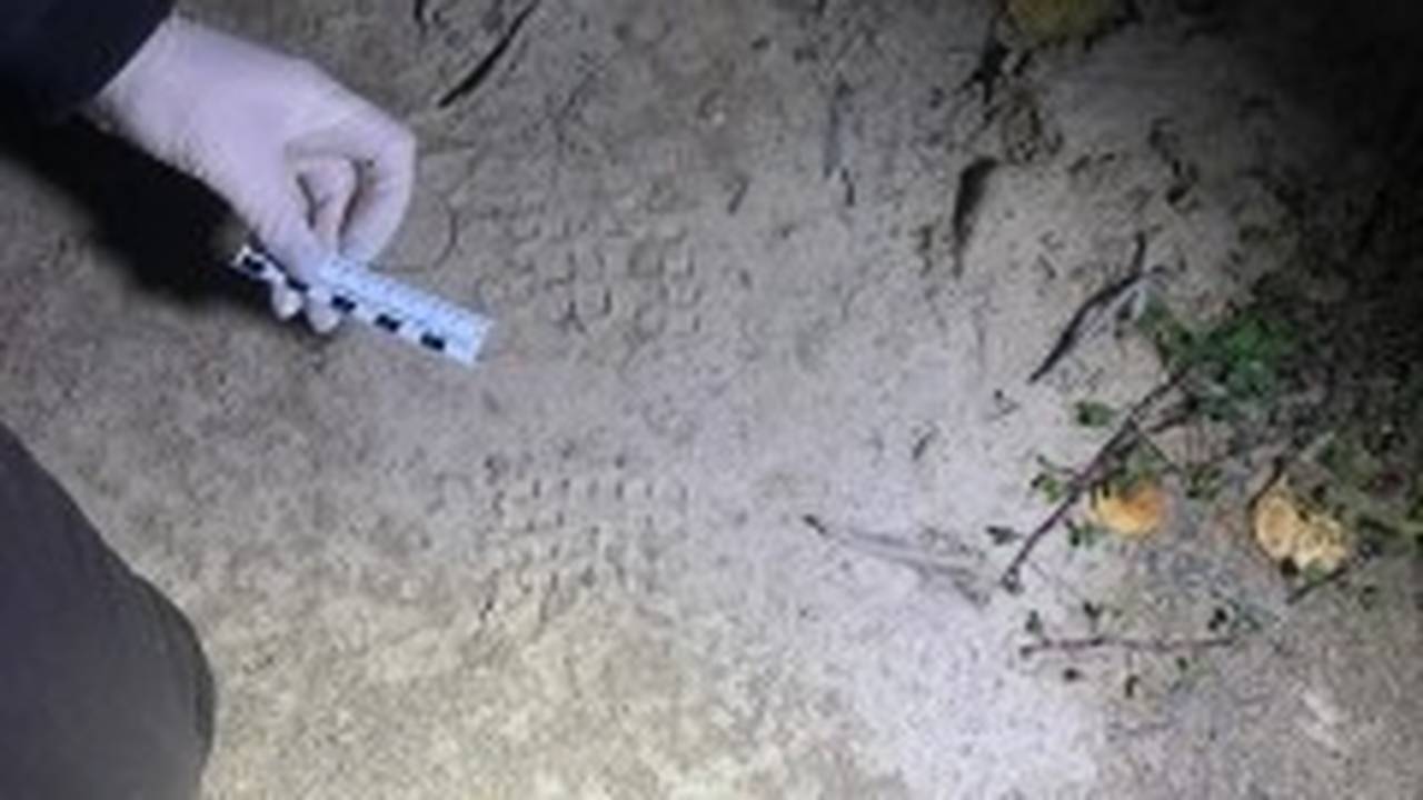 Главная картинка новости: Перепутал со зверем: в Коми охотник застрелил товарища