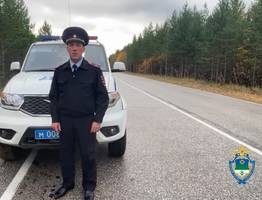 В Коми задержали водителя грузовика, сбившего 9-летнего мальчика