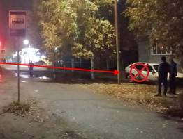 В Печоре пьяный водитель врезался в дерево