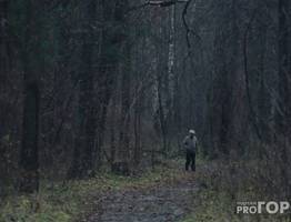 В Коми нашли мужчину, который уехал в лес на велосипеде и пропал