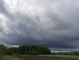 На предстоящей неделе в Коми будет дождливо и прохладно