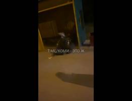 В Коми из-за пьяного мужчины пришлось задержать автобус