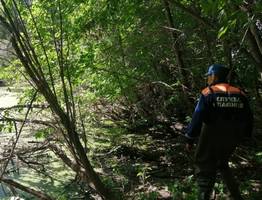 Пропавший месяц назад в Коми мужчина найден мертвым