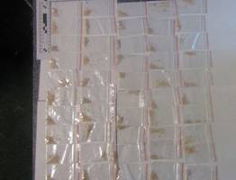 В Коми задержали двух "Крупных" закладчиков