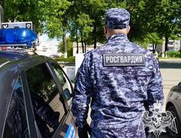 За неделю сотрудники Росгвардии по Коми более 110 раз выезжали на вызовы