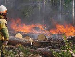 В Коми завершился пожароопасный сезон
