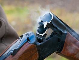 Охотники в Коми избежали уголовного наказания за незаконную охоту