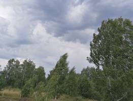 В Коми удерживаются глубокие циклоны из Балтики