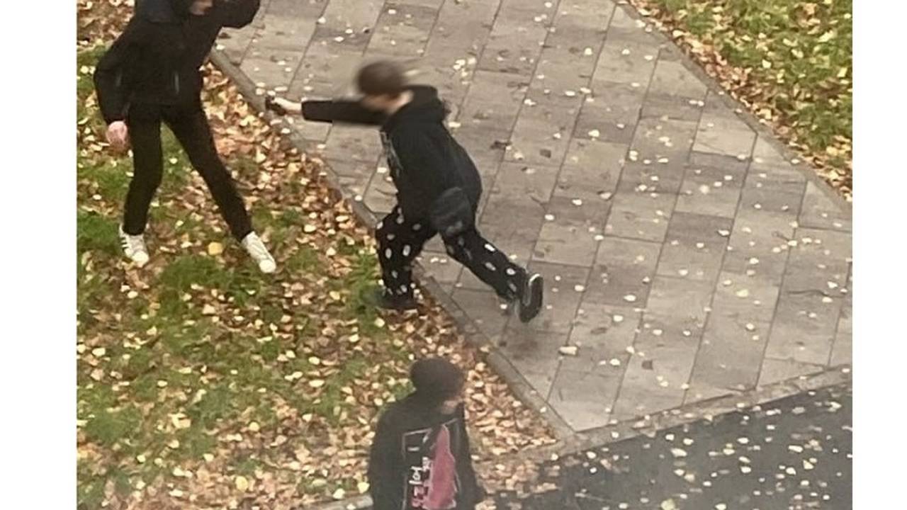 Главная картинка новости: МВД в Коми проверяет жалобу на подростка с электрошокером