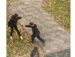 МВД в Коми проверяет жалобу на подростка с электрошокером