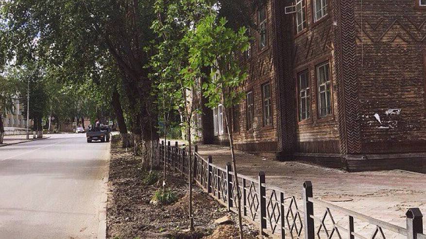 Главная картинка новости: В Сыктывкаре ведется планомерная работа по озеленению города