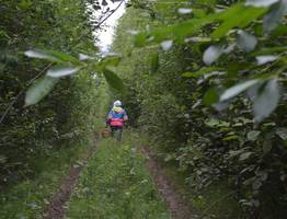 Целые сутки в лесу провели женщина и две девочки в Коми