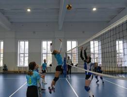 Объявлены победители турнира по волейболу в Коми