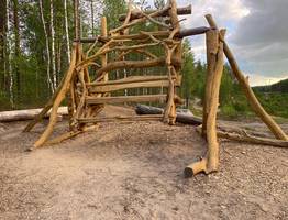 250 зон отдыха сделали в лесах Коми