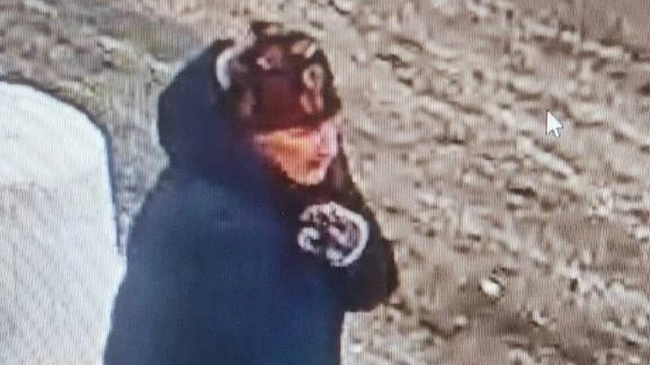 В Коми пропала пожилая женщина