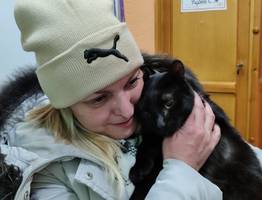 Предновогоднее чудо: в Ухте пропавшего полгода назад кота вернули хозяевам