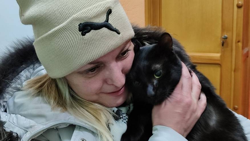 Главная картинка новости: Предновогоднее чудо: в Ухте пропавшего полгода назад кота вернули хозяевам