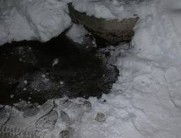 Сыктывкарцы жалуются на постоянный запах фекалий