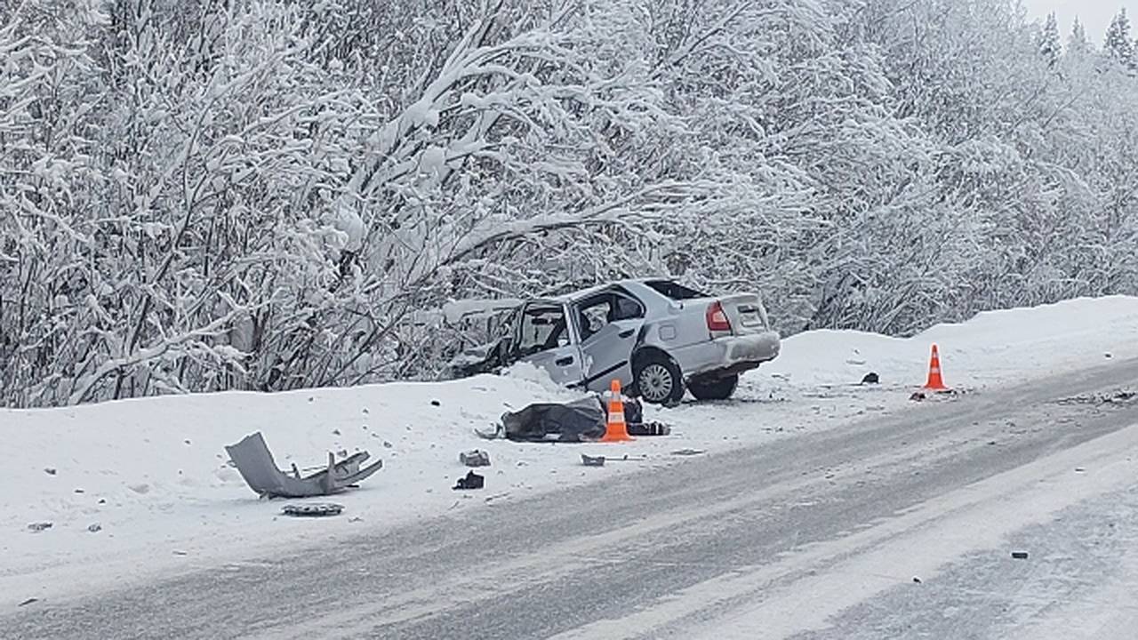 Главная картинка новости: На ухтинской трассе произошло смертельное ДТП