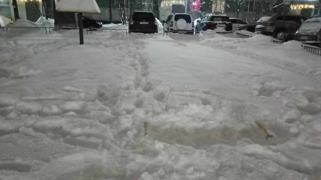 Главная картинка новости: Ухтинцы рискуют травмироваться из-за бездействия властей