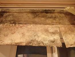 Ухтинка уже 6 лет борется с УК, чтобы победить плесень