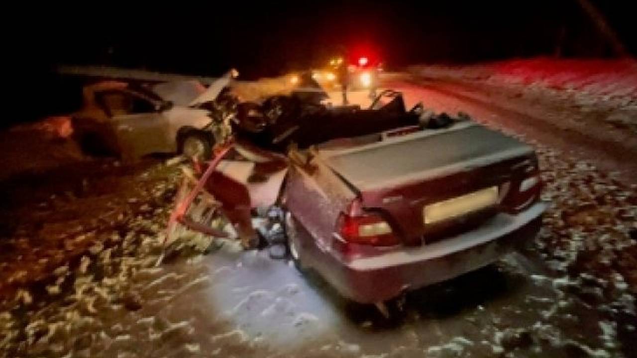 Главная картинка новости: В Коми проверят безопасность участка дороги, на котором погибли 4 человека