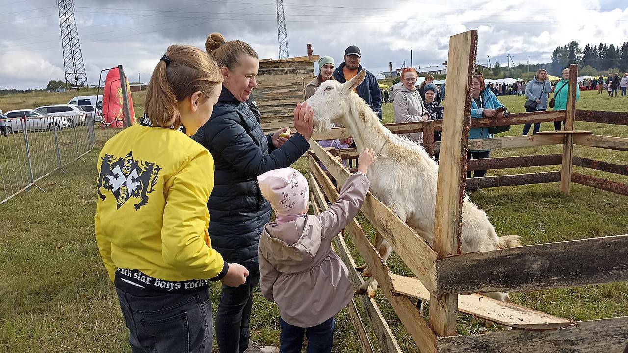 Главная картинка новости: Глоба назвала единственный знак зодиака, который оседлает удачу с 8 марта