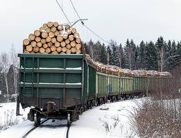 Из Коми лес будут вывозить за границу еще быстрее