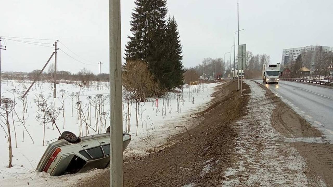 Главная картинка новости: Собака на самовыгуле спровоцировала серьезное ДТП в Коми