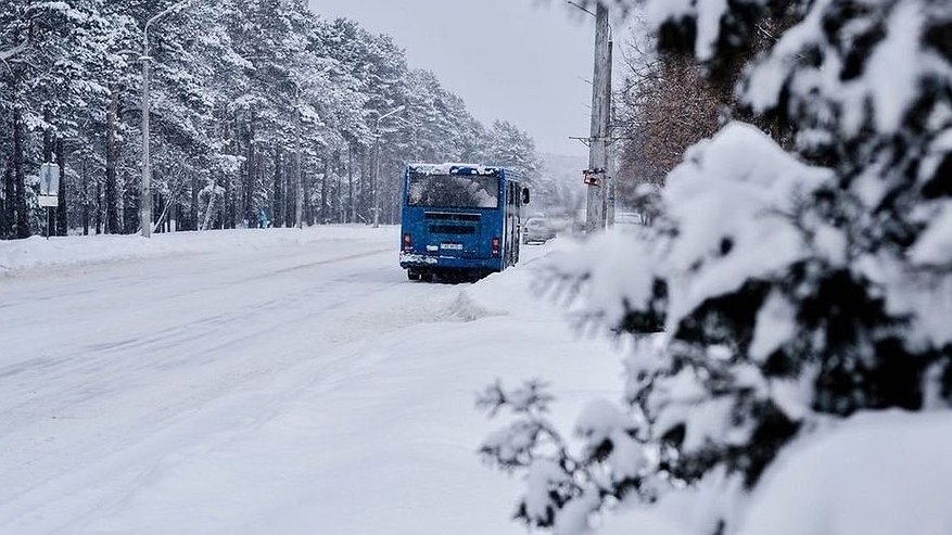 В Сыктывкаре мальчика из многодетной семьи чуть не высадили с автобуса