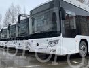 Некоторые города в Коми получили новую партию автобусов "МАЗ"