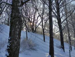 Теплая погода сохранится на юге Республики Коми