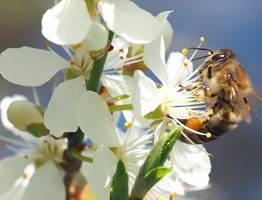 В Коми 11 апреля ожидается сильный южный ветер и осадки