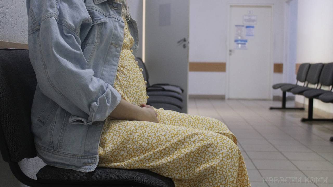 Главная картинка новости: Более 5000 беременных женщин получили пособия на покупку продуктов в Коми