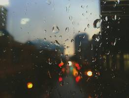 Сильный ветер и дожди со снегом ожидаются в Коми