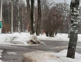 В парке Сыктывкара лопнувший асфальт не смогут отремонтировать по гарантии