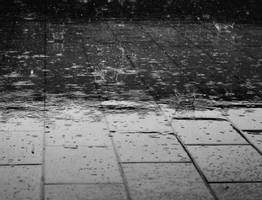 Дождь и мокрый снег накроют жителей Коми 16 апреля