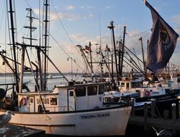 Стало известно, о чем мечтают работающие сыктывкарцы