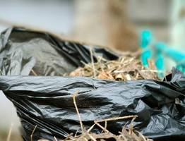 В Сыктывкаре запланировали провести субботники