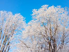 В Коми ожидаются 18-градусные морозы